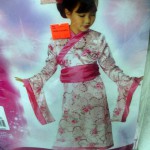 Asian Princess costume