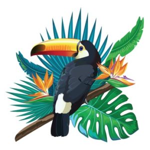 toucan with jungle leaves and flowers