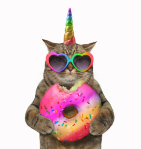 cat with unicorn horn and doughnut